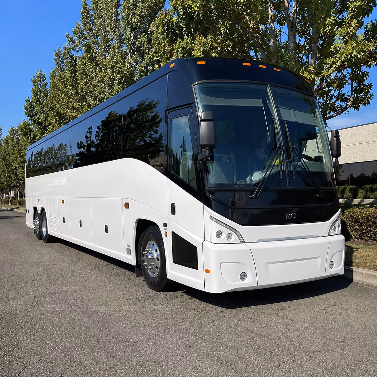 chapel hill 56 passenger charter bus